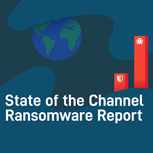 https://www.netcetera.ca/state-of-the-channel-ransomware-report-2023/ icon